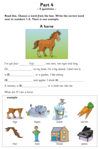 CÁC LỖI THƯỜNG GẶP TRONG BÀI THI TIẾNG ANH CAMBRIDGE YLE CHO TRẺ EM