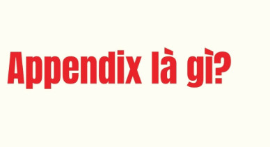 Appendix là gì? Khi nào nên sử dụng