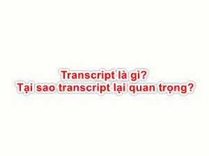 Transcript là gì? Tại sao transcript lại quan trọng?